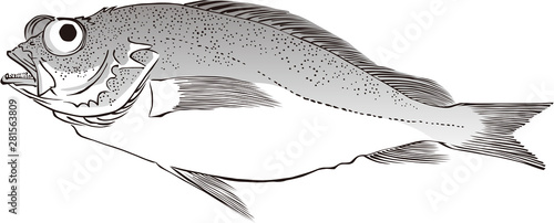 浮世絵　魚　その1