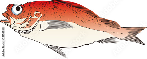 浮世絵　魚　その2