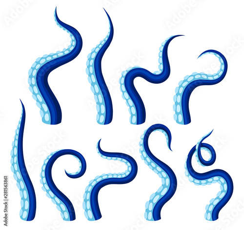 Blue tentacles of an octopus. Vector illustration on white background.