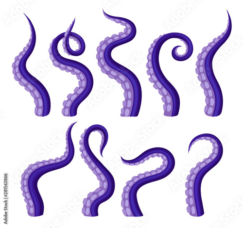 Set of purple tentacles octopus. Vector illustration on white background. photo