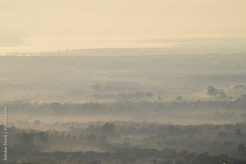 Misty morning 2, South Africa