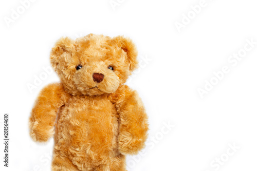 Toy brown bear on white. Copy space