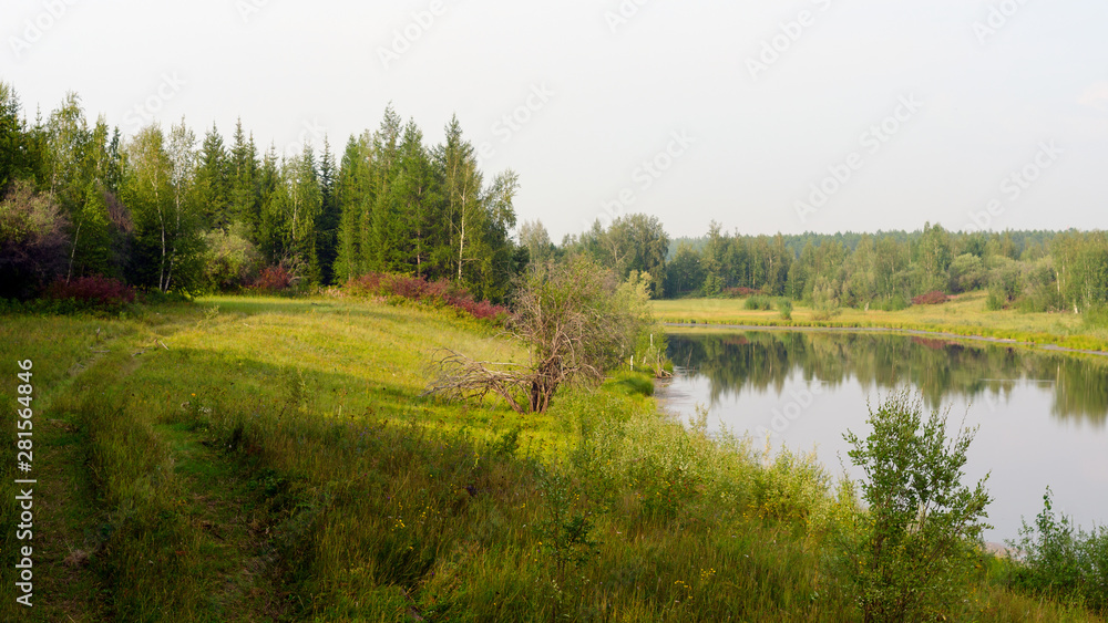 The road overgrown with grass in the shade goes along the field and the water of the lake in autumn in the colorful sparse Northern vegetation. The road overgrown with grass in the shade goes along the field and the water of the lake in autumn in the colorful sparse Northern vegetation.
