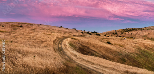 Fotografie, Tablou Sunset view of hiking trail through golden hills in Santa Cruz mountains; pink a