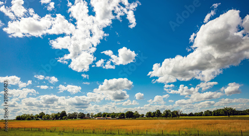 Canvastavla Sunny spring day in countryside