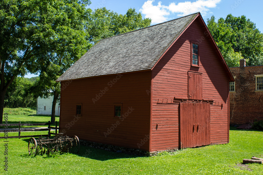 Obraz premium Minnesota Forest