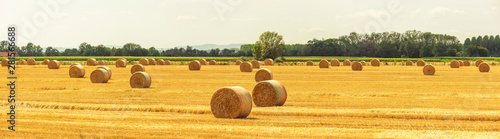 Strohballen auf dem Feld