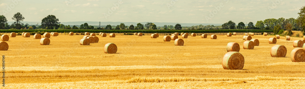 Fototapeta premium Strohballen auf dem Feld