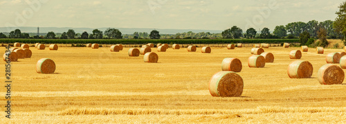Strohballen auf dem Feld