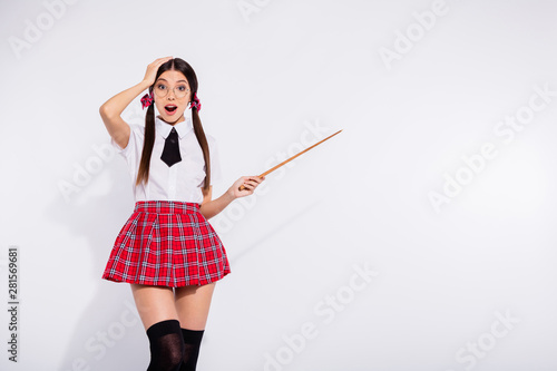 Close up photo beautiful tender she her model tails lady hands arms blackboard pointer ready give private lecture boyfriend best lover wear red checkered costume tie tights isolated white background