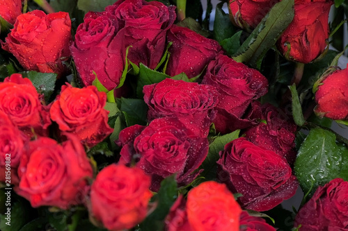 Moisturizing fresh flowers for long-term storage. Velvet red roses with water drops for sale in flower shop  closeup view. Floal business concept. Floristic studio and store.
