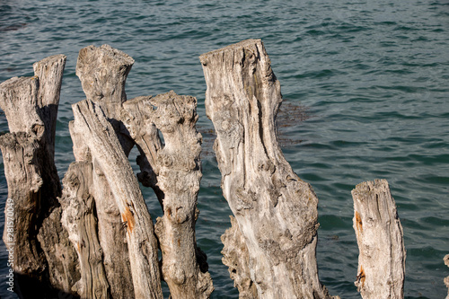 Big breakwater  3000 trunks to defend the city from the tides  Plage de l   ventail beach in Saint-Malo  Ille-et-Vilaine  Brittany  France