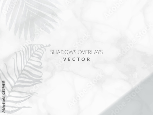 Cards mockups with shadow overlays from leaf and palm branches on white marble background texture