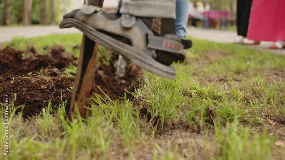Man digging soil with shovel on flower bed. Digging lawn for planting flowers in flowerbed. Gardening and landscaping Man digging soil with shovel on flower bed. Digging lawn for planting flowers in flowerbed. Gardening and landscaping