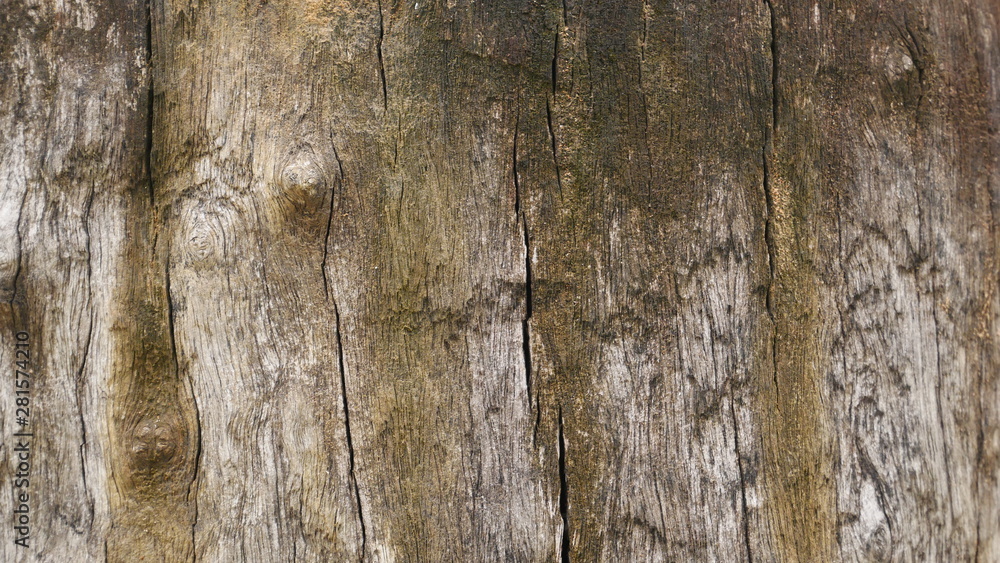 100 year old wood background