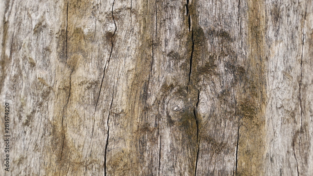 100 year old wood background