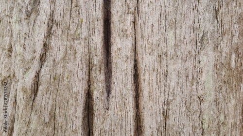 100 year old wood background