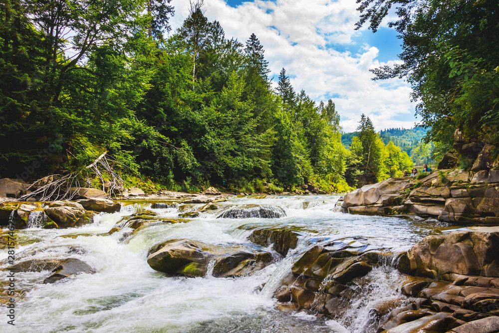 Mountain river with rapid streams of water, trees on the bank of a mountain river._ Mountain river with rapid streams of water, trees on the bank of a mountain river._
