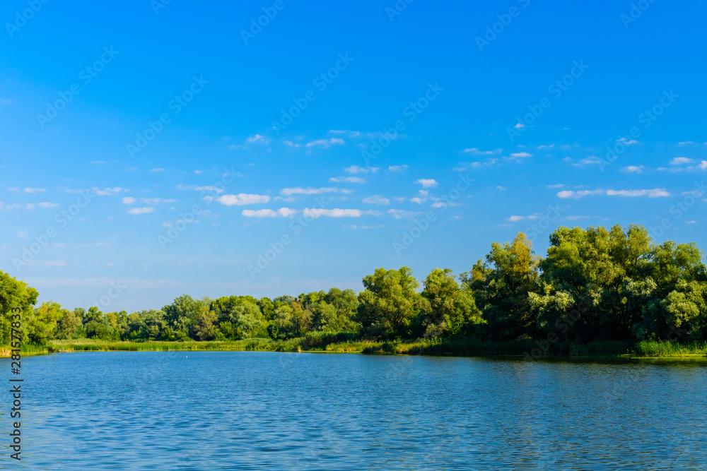 Obraz premium Summer landscape with the green trees and river