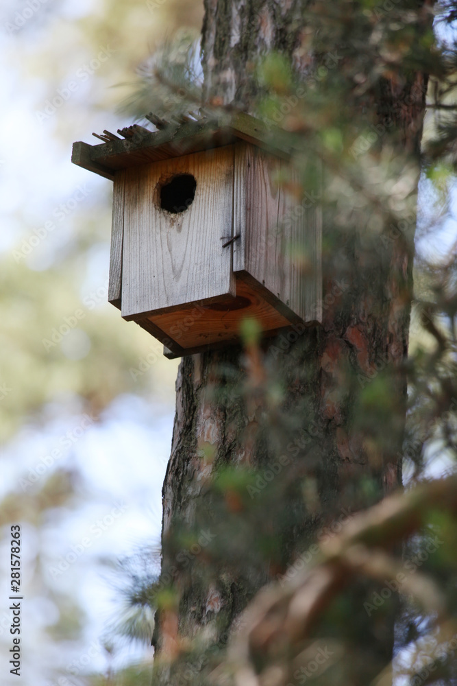 Wooden birdhouse on a pine in the forest. Simple birdhouse design. Shelter for bird breeding, nesting box on a tree Wooden birdhouse on a pine in the forest. Simple birdhouse design. Shelter for bird breeding, nesting box on a tree