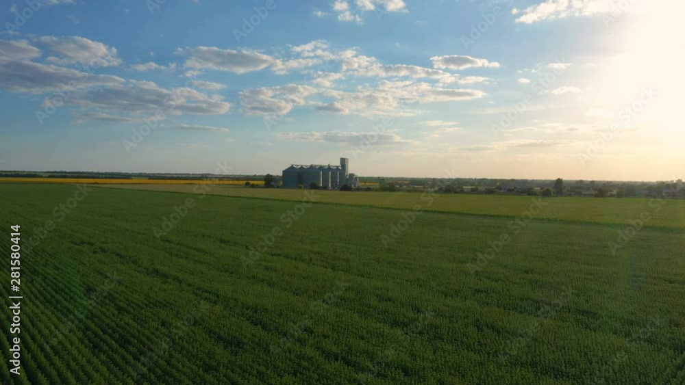 modern grain silos elevator at the field of blooming sunflowers aerial view modern grain silos elevator at the field of blooming sunflowers aerial view