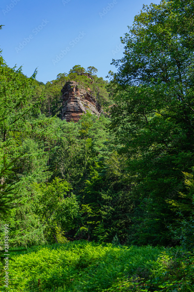 Rocks towering through trees in a forest landscape in Dahn Rockland Rocks towering through trees in a forest landscape in Dahn Rockland