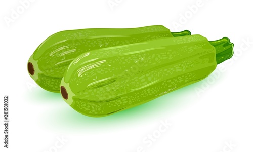Green zucchini. Green vegetable marrow with neutral flavour. Cartoon vector illustration isolated on white background for menu, packing, recipes.
