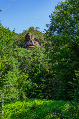 Rocks towering through trees in a forest landscape in Dahn Rockland