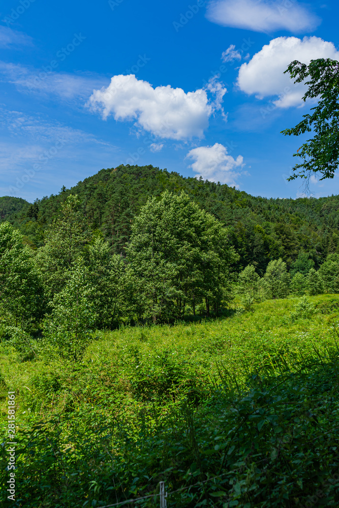 Mountainous forest landscape with blue sky and clouds
