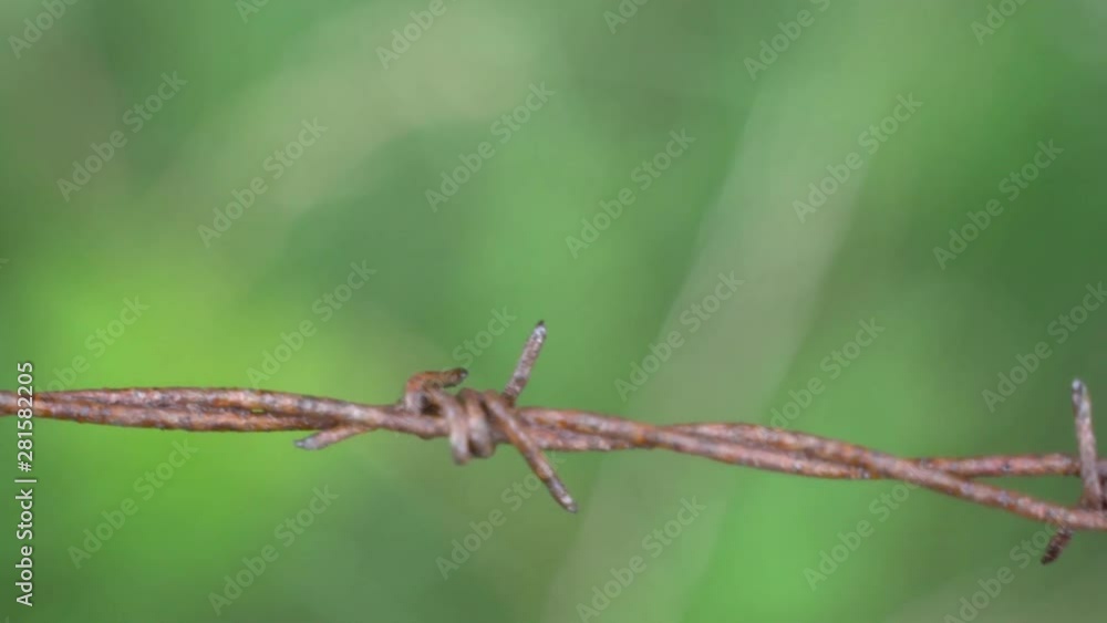 Rusty barbed wire fence close up shot. Panning camera movement. Rusty barbed wire fence close up shot. Panning camera movement.