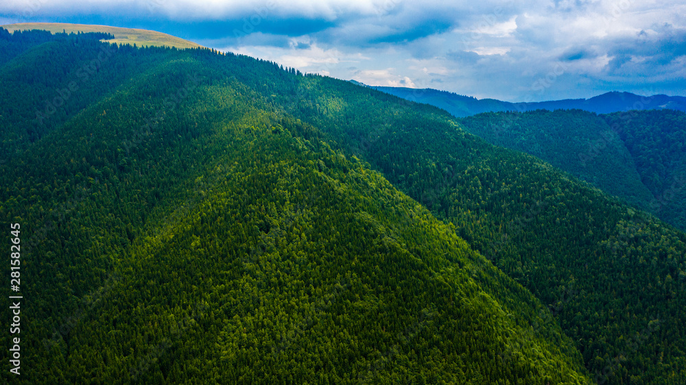 Fototapeta premium Aerial view of mountains covered with coniferous forests