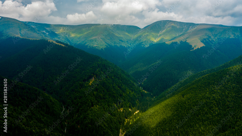 Fototapeta premium Aerial view of mountains covered with coniferous forests