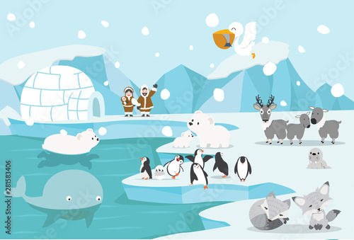 animals North pole Arctic landscape