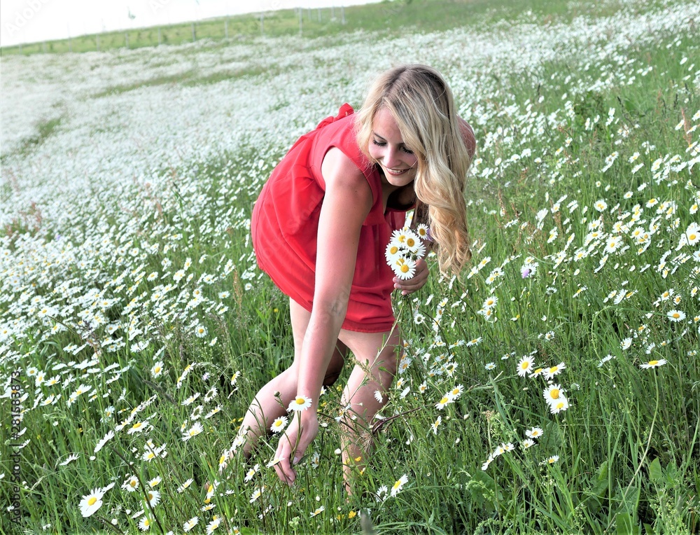 Fototapeta premium Blondine beim Blumenpflücken