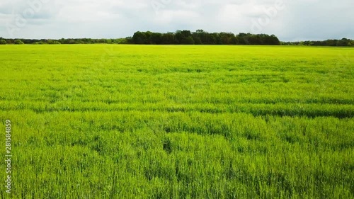 fast flight over a field with full grown crops