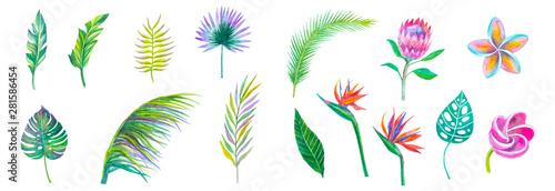 set di foglie e fiori tropicali esotici su sfondo bianco, acquerello dipinto piante colorate isolato photo