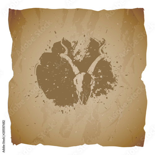 Vector illustration of hand drawn skull antelope and grunge elements on old torn edges background. Texture of old paper.