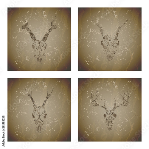 Vector set of four illustrations with grunge silhouettes skulls deer, antelope, stag and goat on vintage background. Sketch in sepia color.