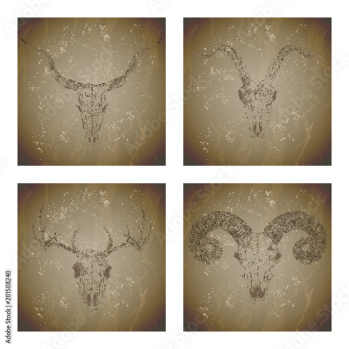 Vector set of four illustrations with grunge silhouettes skulls deer, goat, antelope and ram on vintage background. Sketch in sepia color.
