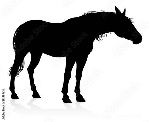A high quality very detailed horse in silhouette