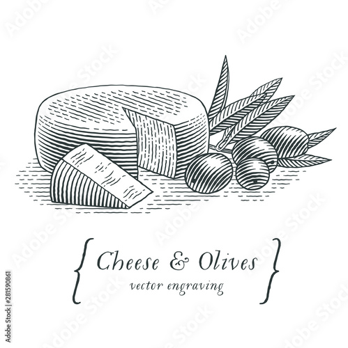 Head of cheese with triangle piece of cheese and olives with olive branch. Hand drawn engraving style illustrations. 