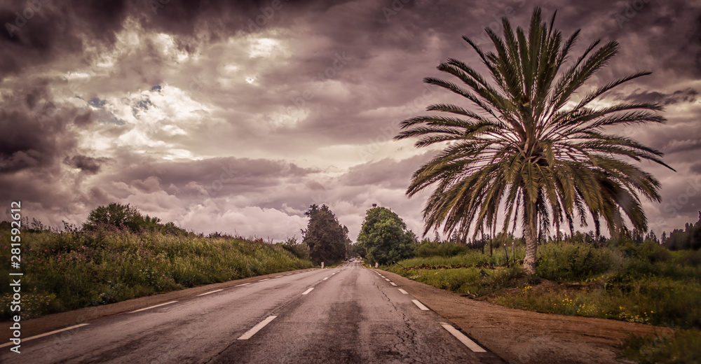 Fototapeta premium road