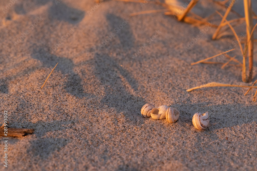 Sommer, Sonne, Urlaub Sommer, Sonne, Urlaub