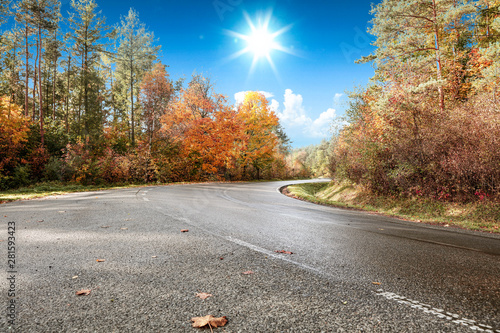 Road view on sunny day. Journey in autumn time.