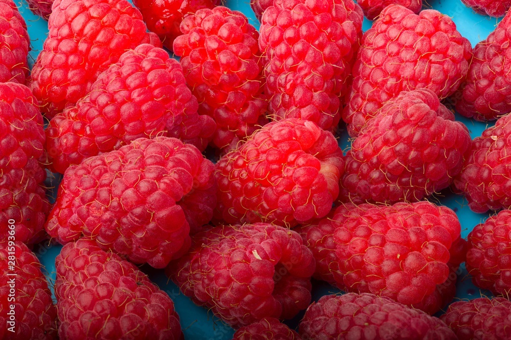 large raspberries on a blue background large raspberries on a blue background