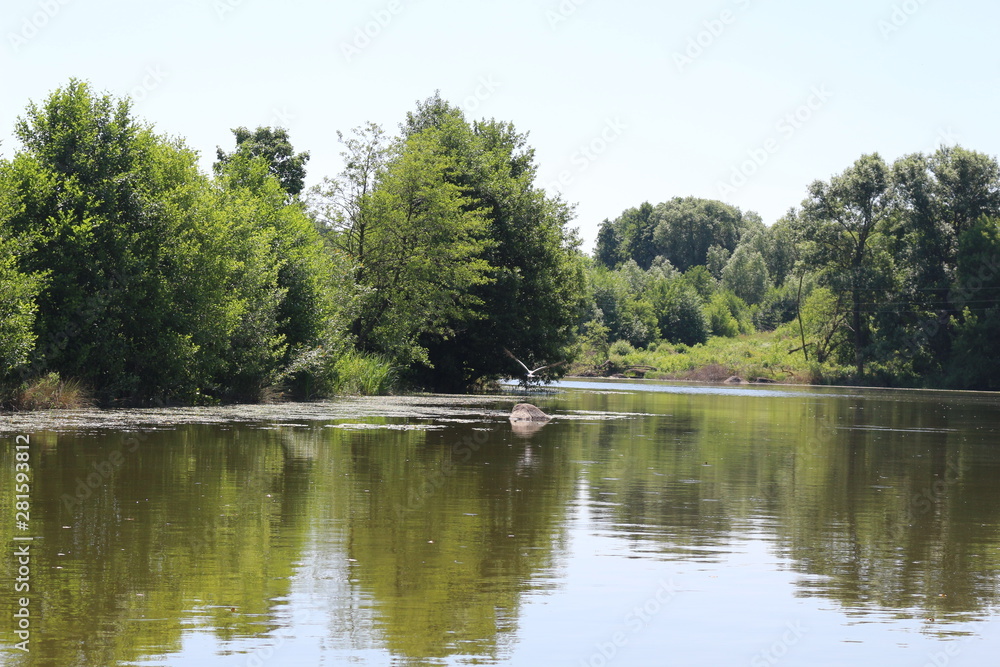  A calm river flows along the plain shores