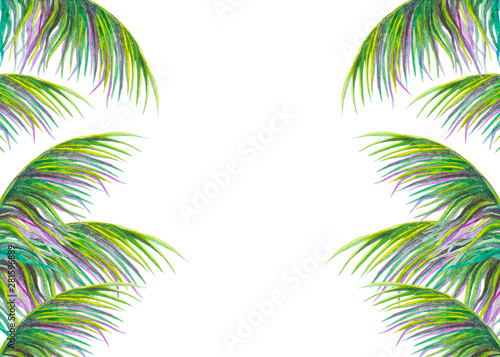 sfondo bianco cornice palma  © Kateryna Kovarzh