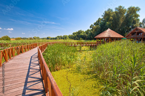 Obraz na plátně Kopacki Rit marshes nature park wooden boardwalk view