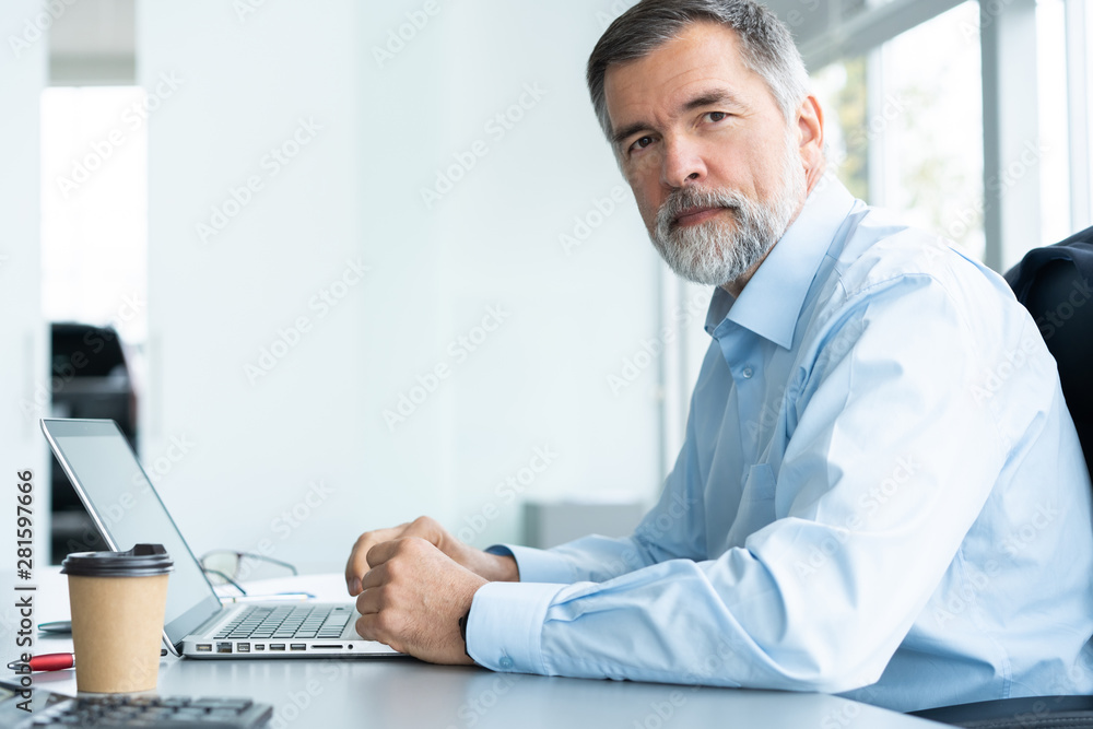 Fototapeta premium Senior businessman working on laptop computer