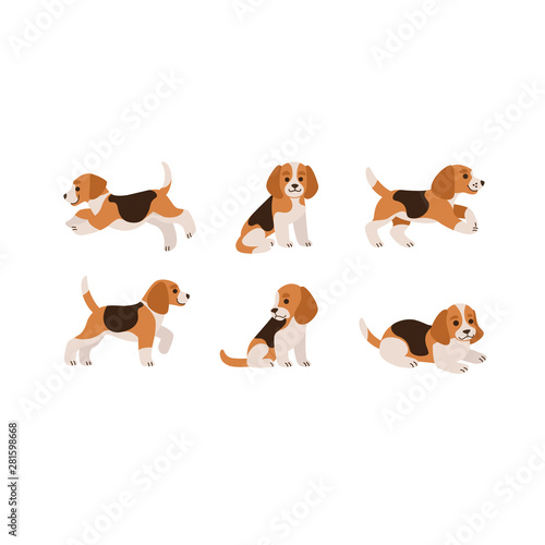 Beagle icon set. Different type of  beagle dog. Vector illustration for prints, clothing, packaging, stickers, stickers. © Lili Kudrili